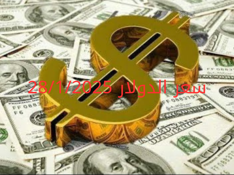 سعر الدولار والعملات في البنك المركزي وجميع البنوك المصرية 28-1-2025